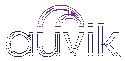 Auvik Networks