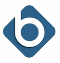 Banyon Data Systems