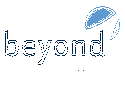 Beyond Software