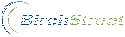 BirchStreet Systems