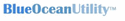 Blue Ocean Systems