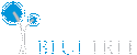 BlueTree Systems