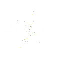 BrainX