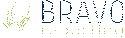 Bravo Reporting Systems
