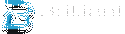 Brilliant Info Systems