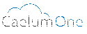 CaelumOne