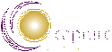Capture Technologies