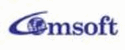 Comsoft Infotech