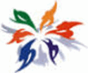 DreamTeam Network Solutions