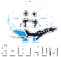 eGoVisa Services