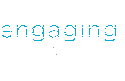 Engaging Networks