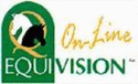 Equivision