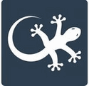 Gecko Labs