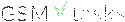 GSMtasks
