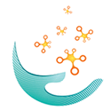 ICT Health Technology Services India