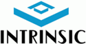 Intrinsic Software