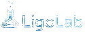 LigoLab