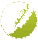 MadCap Software