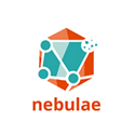 Nebulae Software Services