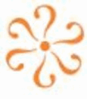 Neesoft