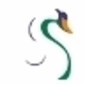 Netsoft Solutions