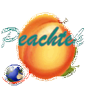 Peachtek Legal Solutions