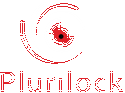 Plurilock Security Solutions