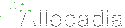 Allocadia Software