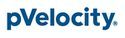 pVelocity