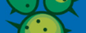 Cactus Apps