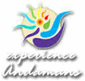 Experienceanda