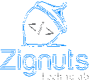 Zignuts Technolab