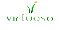 Virtuoso Infotech Pvt Ltd