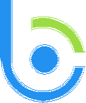 Bloom Consulting Services