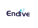 Endive Software Pvt. Ltd.