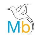 Micro B