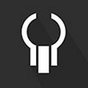 Wildebeest
