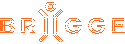 Brigge Technologies