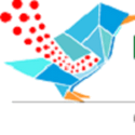 Logical Wings Info Web