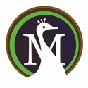 Moreweb Solutions