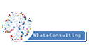 N Data Consulting