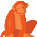 Orange Mico Llc