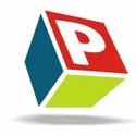 Pioneer Websystem Pvt. Ltd.