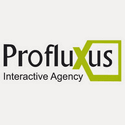 Profluxus Interactive Agency