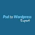 Ps Dto Word Press Expert
