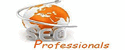 Seo Professionals