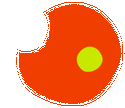 Small Planet Digital