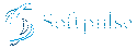 Softpulse Infotech