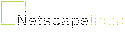 Netscape India Pvt. Ltd