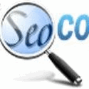 The Seo Company Usa